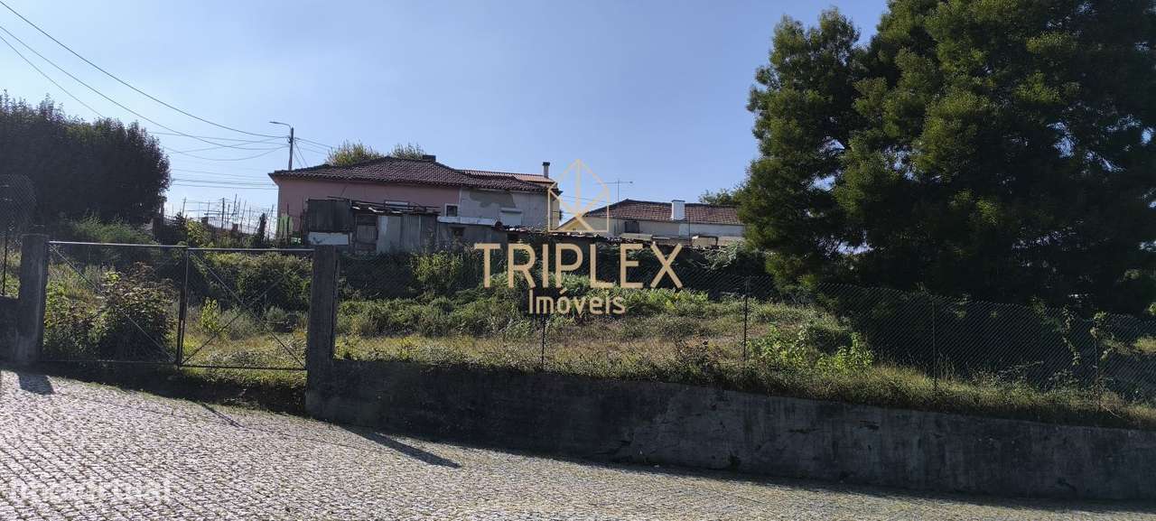 Casa com 3 inquilinos e Terreno -  Monte Sta Cruz-5