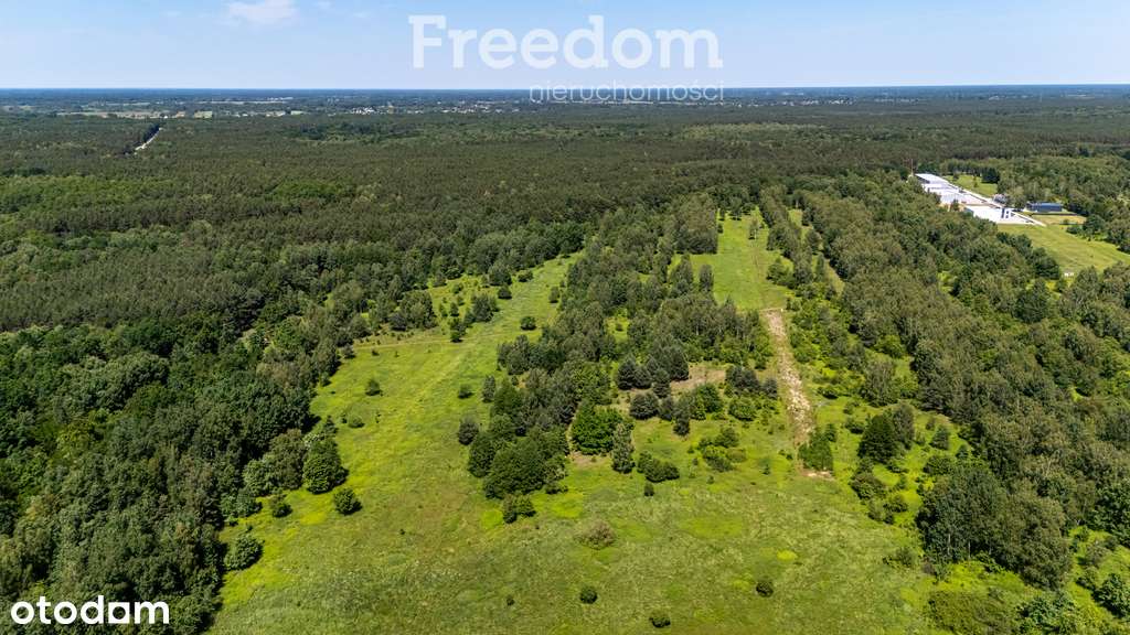 Działka PU 6 878 m² w Okuniewie - Pełny obrazek: 4/13