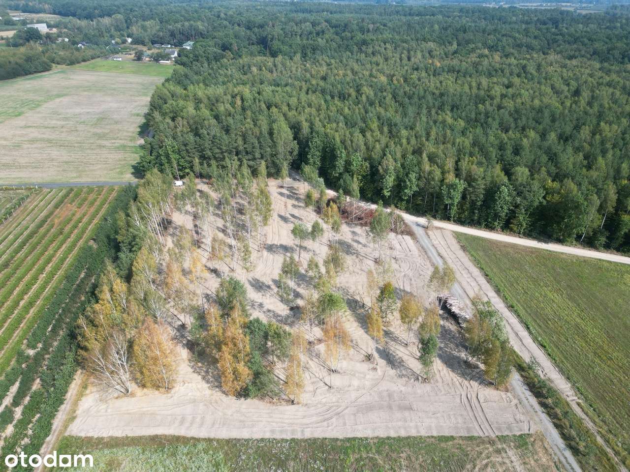 Wyjątkowe działki budowlane na sprzedaż | Zimnice-9