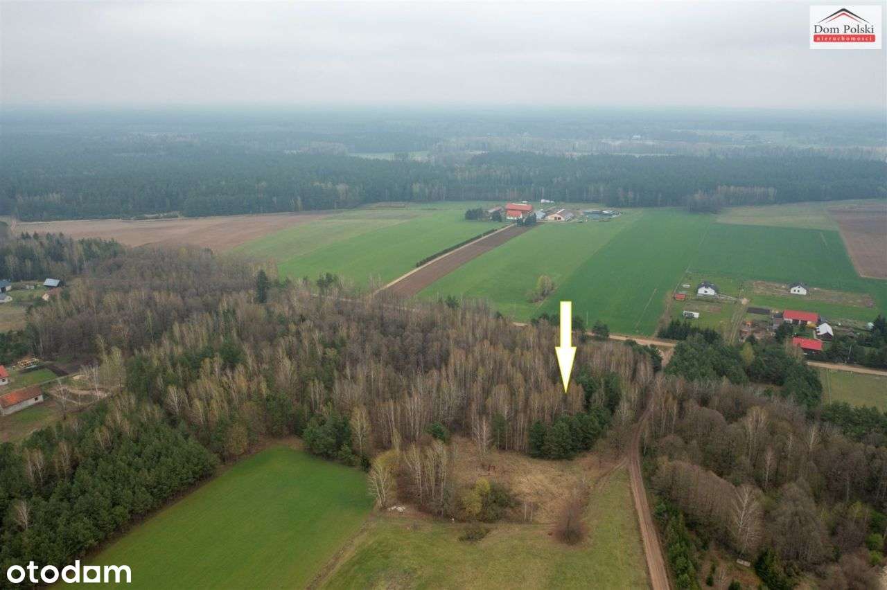 Działka w Piasutnie idealna pod Agroturystykę-3