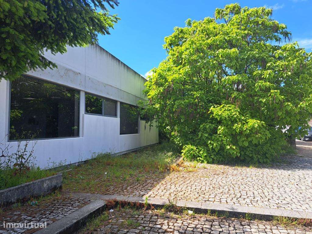 Imóvel Comercial em Carrazeda de Ansiães-22