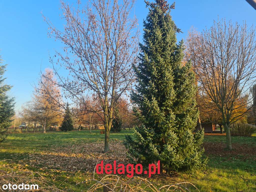 Działki budowlane w Wilanowie - Pełny obrazek: 3/9