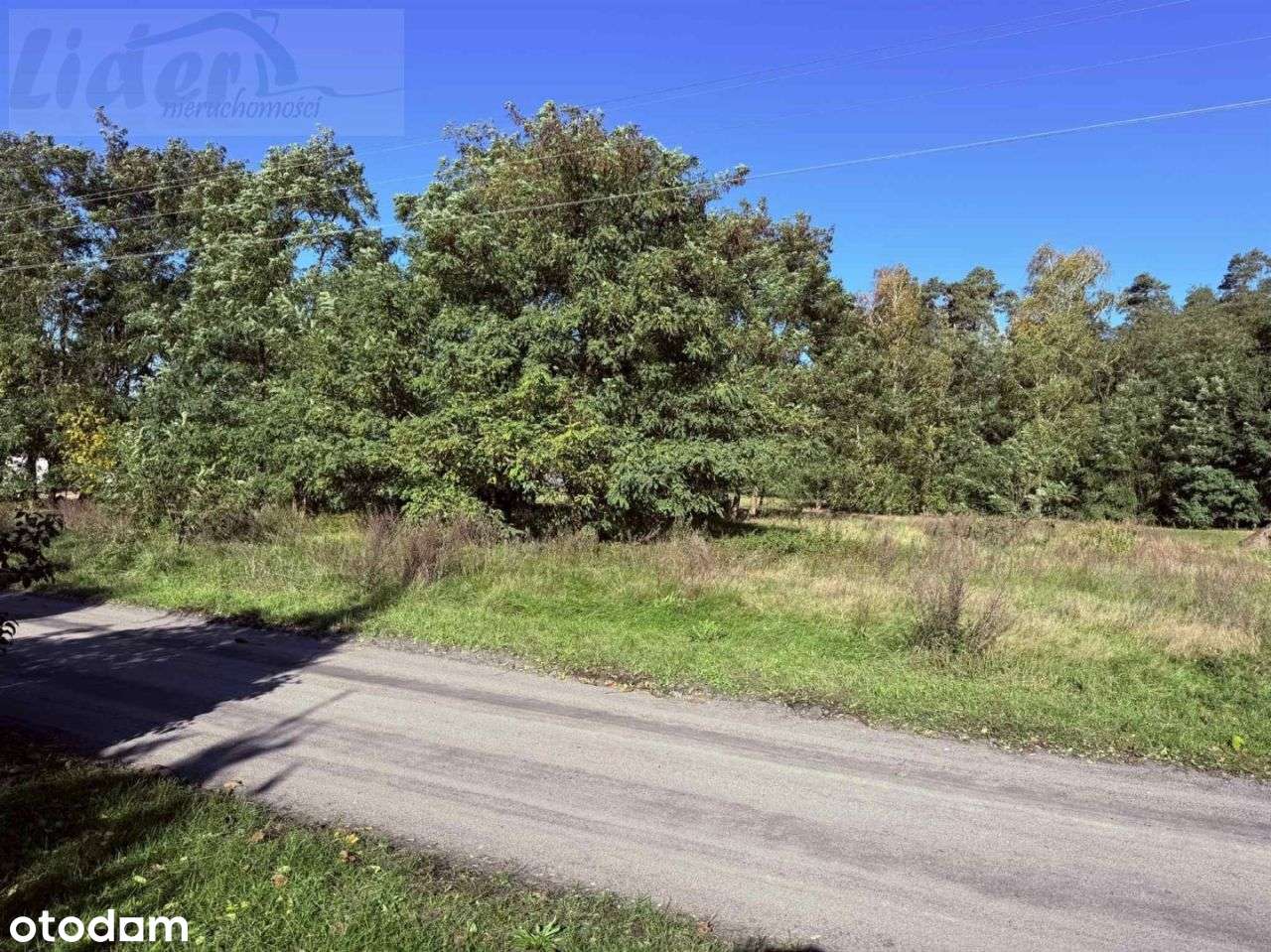 Działka, 2 099 m², Mrożewice-6