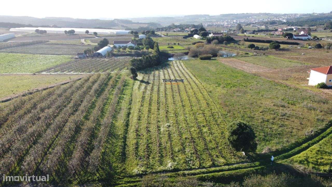 Terreno c/ projeto aprovado em Moita dos Ferreiros - Grande imagem: 3/8