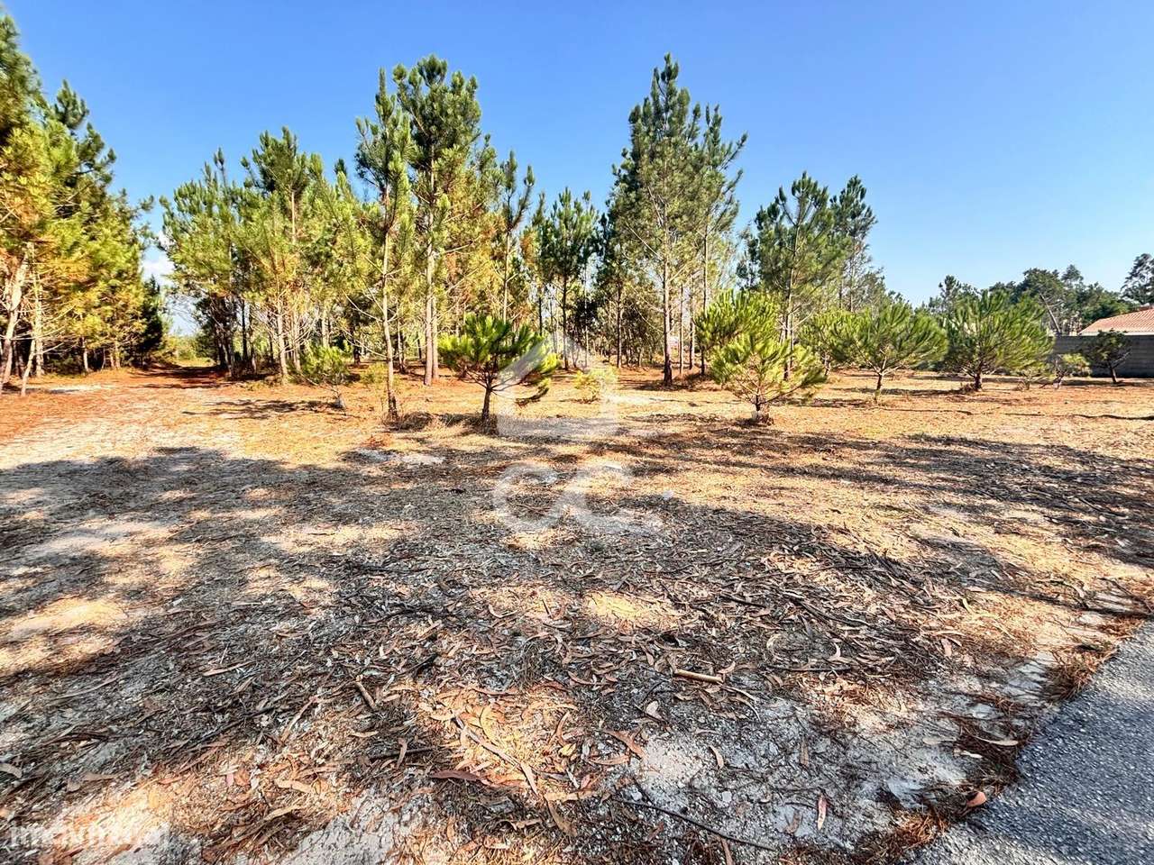 Terreno urbanizável com a área de 1677 m2, inserido no aglomerado urba-7