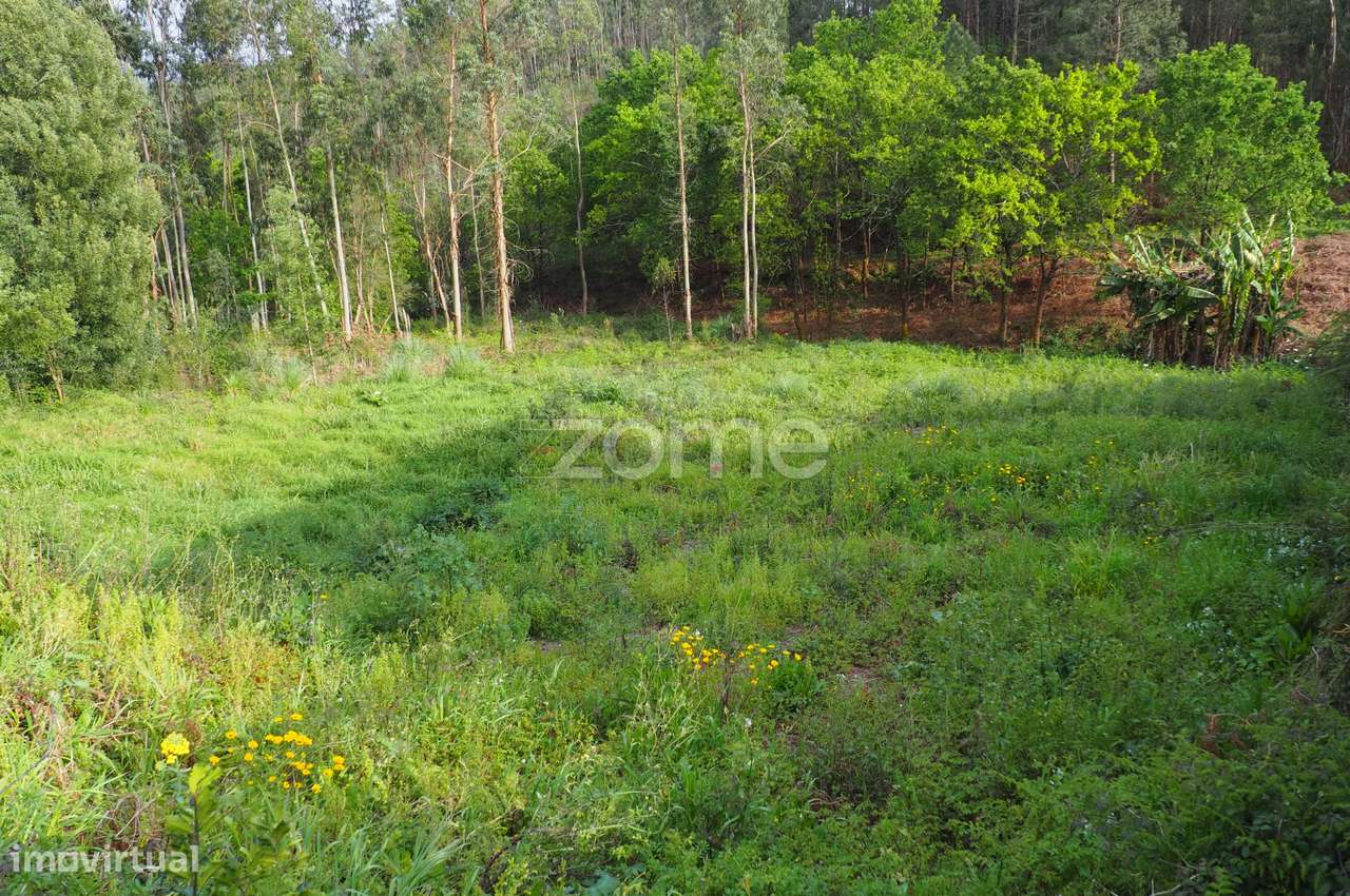 Terreno para Construção em Altura | Valongo do Vouga | Águeda - Grande imagem: 4/15