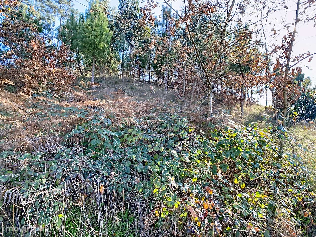 Terreno em Regadas - Grande imagem: 5/8