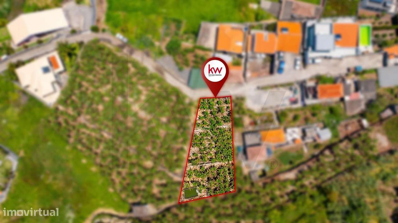 TERRENO RIBEIRA BRAVA - Grande imagem: 4/13