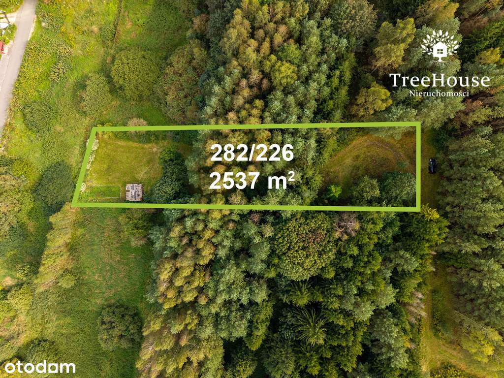 Działka z potencjałem blisko Jeziora Wulpińskiego - Pełny obrazek: 4/15