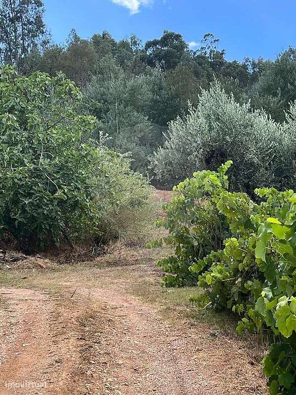 Terreno  para venda - Grande imagem: 4/5