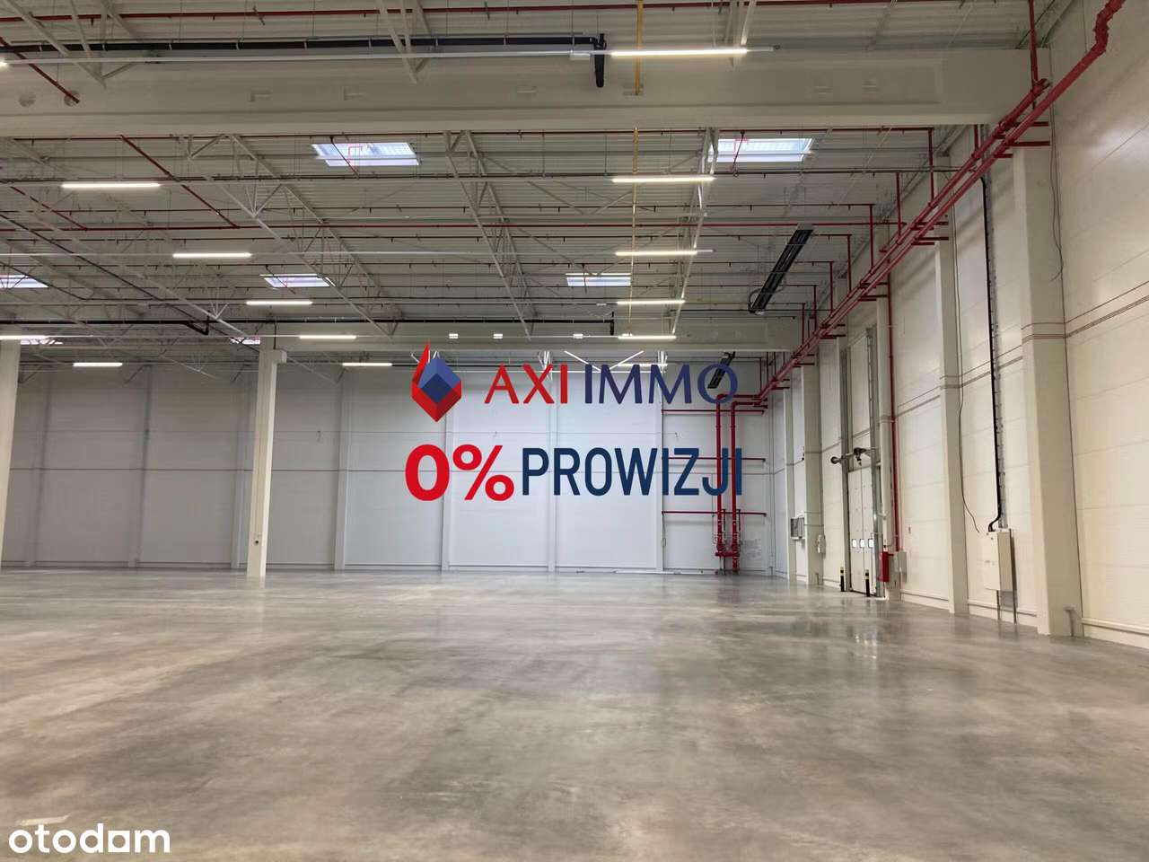 Hala 15 000 mkw. w Kokotowie, moduły od 2700 mkw. - Pełny obrazek: 2/3