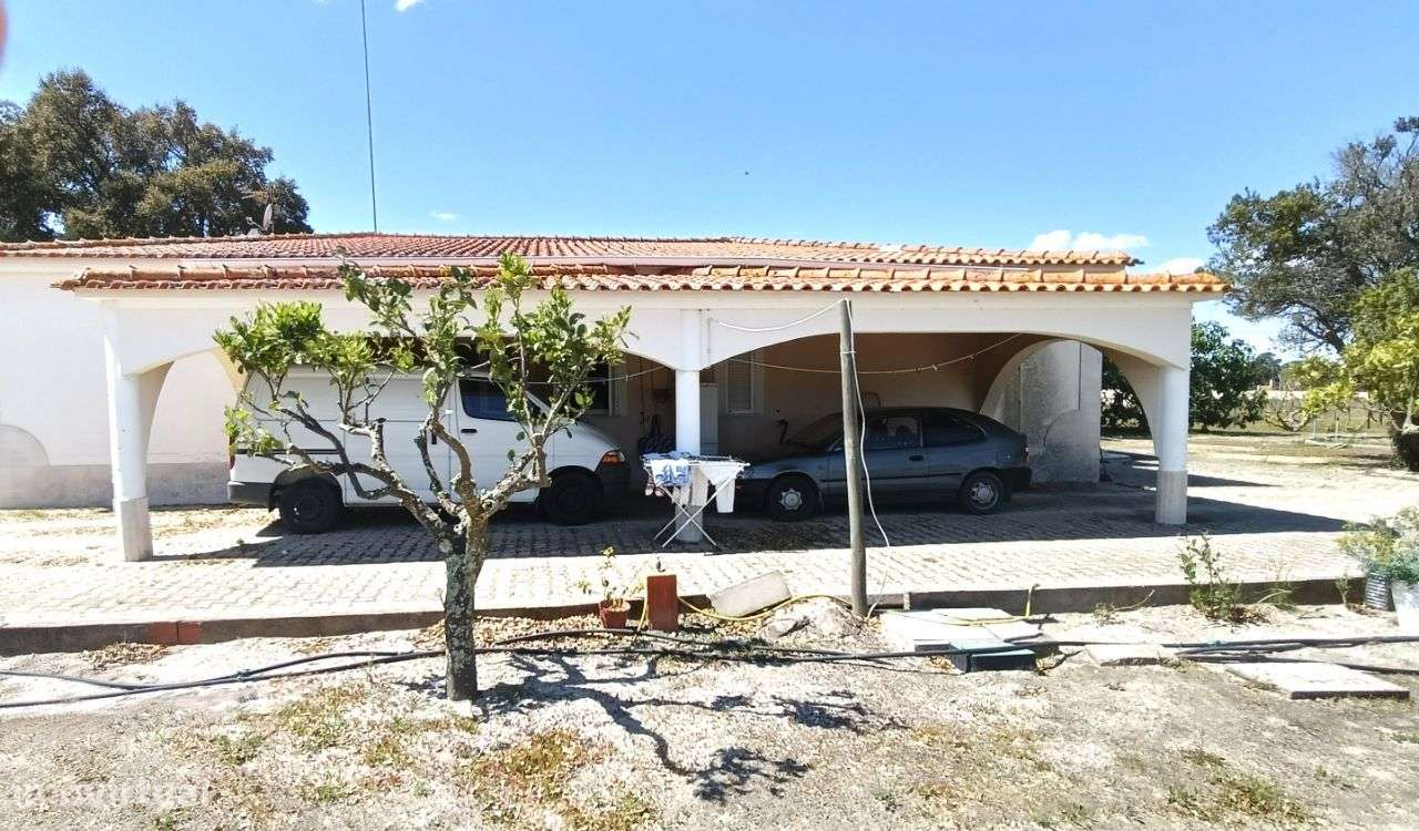 Quinta Pegões Velhos, junto á adega, com moradia e armazém lote 3,8 ha-43