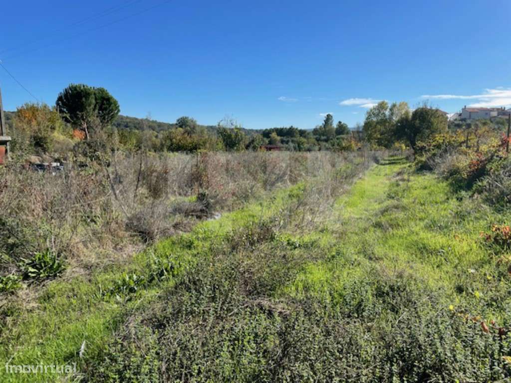 Terreno Agrícola Sustentável com Certificação Biológica em Orjais, ...-13