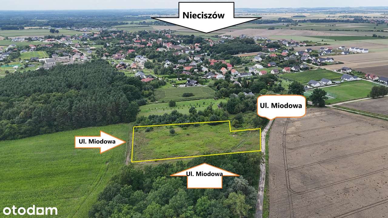 Nieciszów – duże działki  MPZP  Rezerwacja do 20.01-6