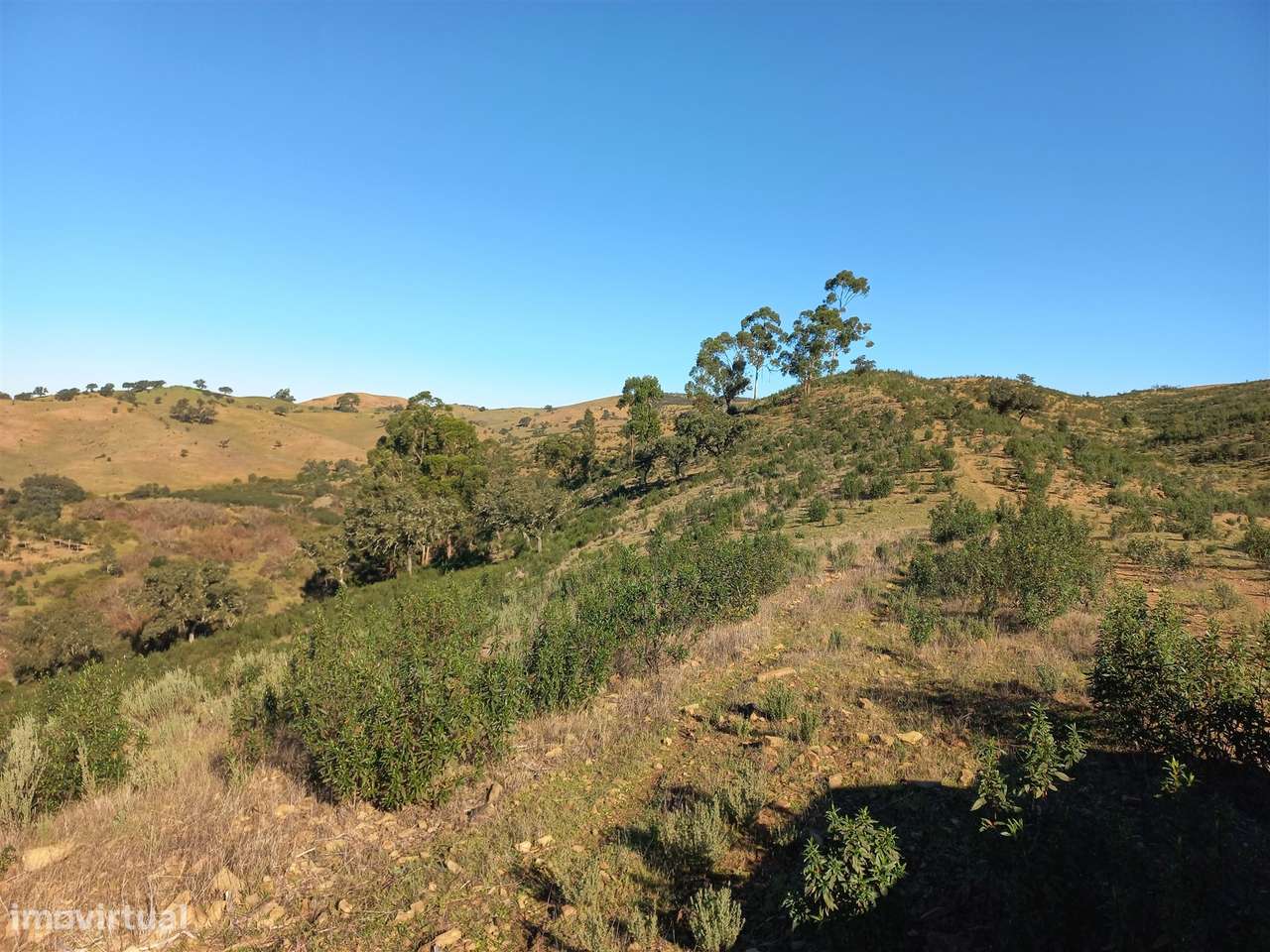 Terreno Rústico  Venda em Santa Clara-a-Nova e Gomes Aires,Almodôvar-10