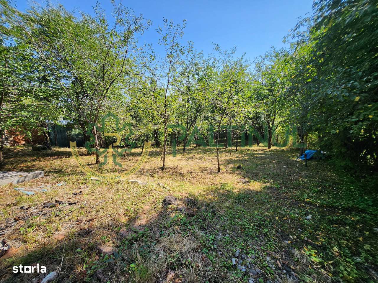 Casă Nucet, 864 mp teren cu pomi fructiferi – la 21 km de Sibiu - Imagine principală: 4/11