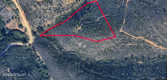 Terreno de Medronheiros para Venda na Serra de Monchique – O seu futur-10