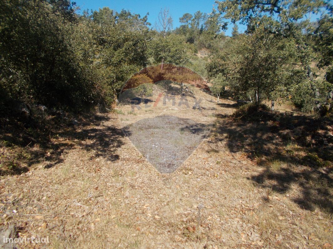 Terreno  para venda