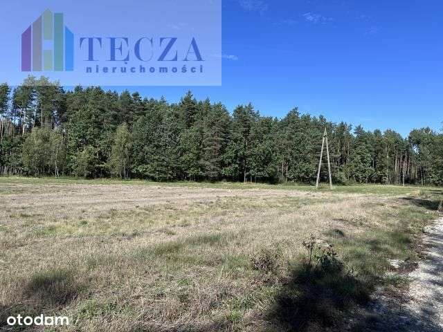 8 działek Budowalnych z wydanymi Wz,Borucza,gm.Str-6