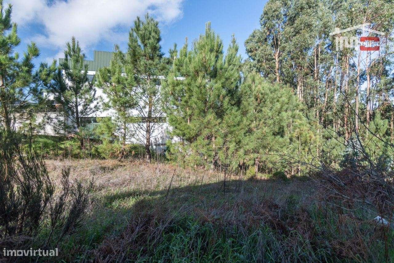 TERRENO COM ÁREA DE 1360m2 - Grande imagem: 5/10