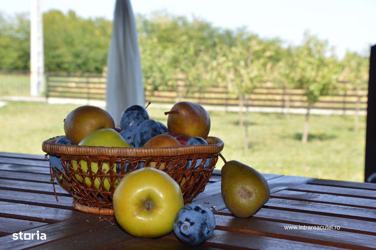 Terenuri cu curent, gaze, in rate 500€/luna Racari, Crevedia, Buftea-8