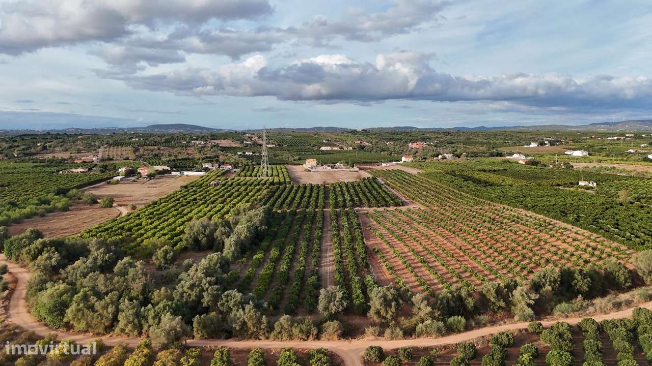 Terreno com projecto aprovado para hotel rural com 50 quartos - Grande imagem: 4/4