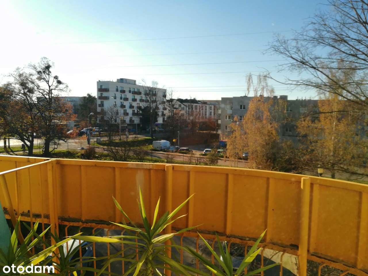 Rozkładowe-Dwustronne-3 pok.-ul.Przyjaźni-piwnica-16