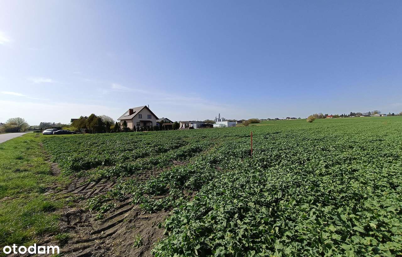 Działka budowlana, 8 km od Zamościa - Pełny obrazek: 5/14