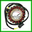 Stator Generator Aprindere CFMOTO 800 CF Moto 800 CForce UForce ZForce - 3