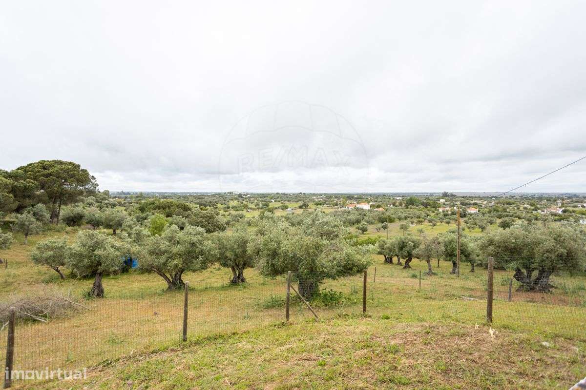 Quinta T8 para venda-21