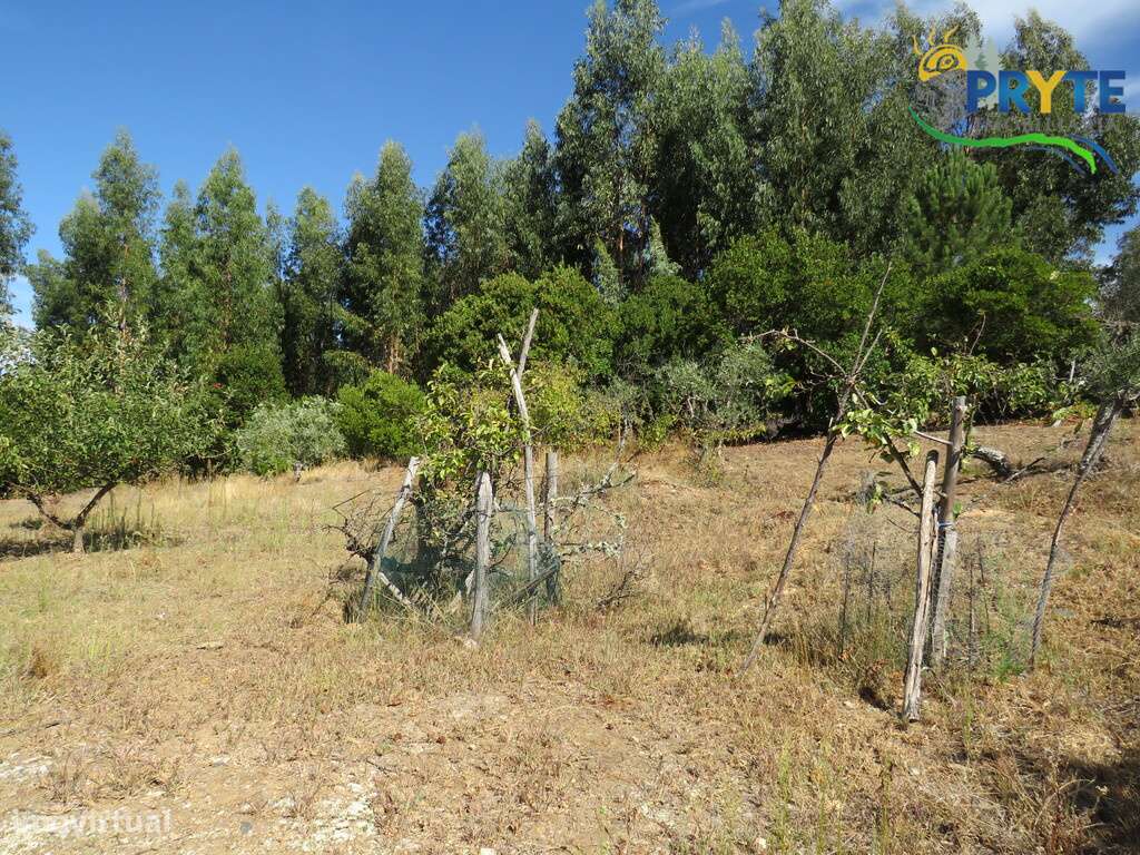 Terreno para construção situado em Álvaro - Grande imagem: 4/15