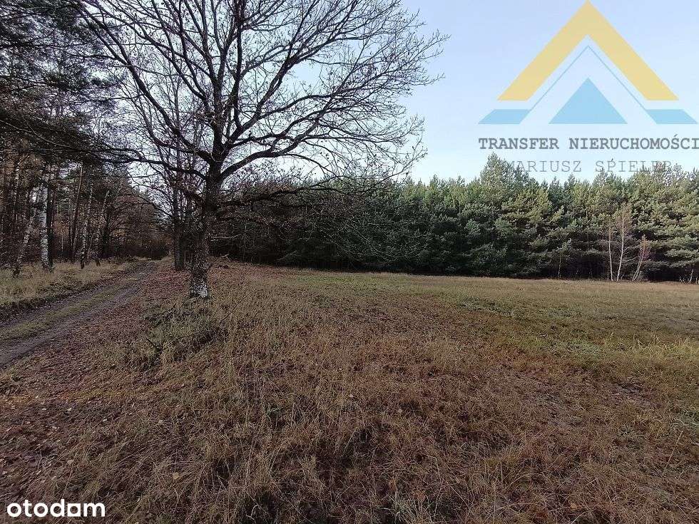 Działka leśna w Chłopowie 3,24 ha , 230 tys.!-10