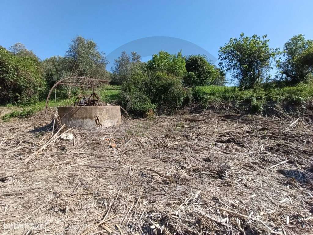 Terreno P/Construção-8