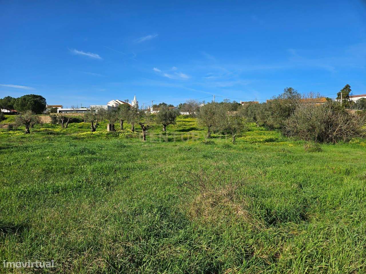 Terreno Rústico à Venda em Montalvo - Oportunidade Única - Grande imagem: 5/6