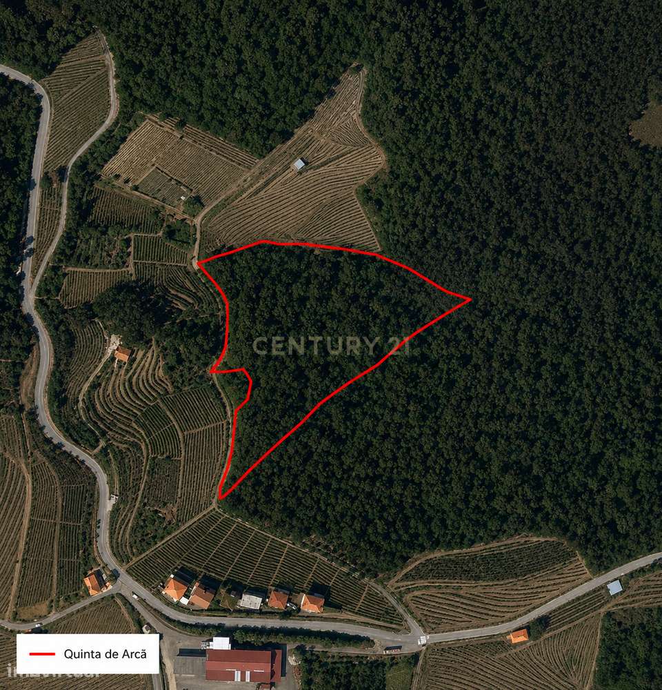 Duas quintas com 30ha para venda em Santa Marta de Penaguião, propried-36