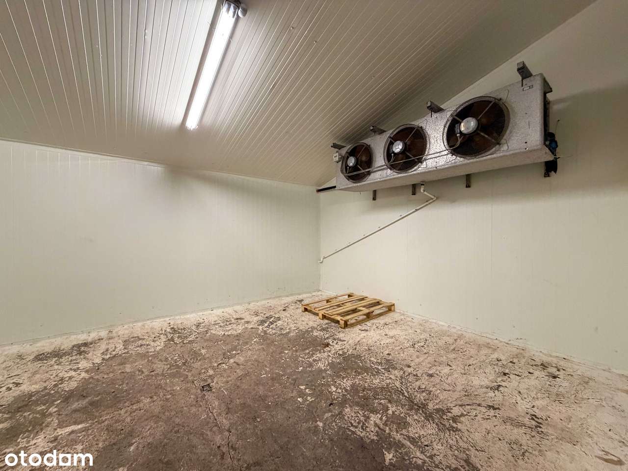 Nowoczesna i wyposażona pieczarkarnia z częścią magazynową – Janowo,-11