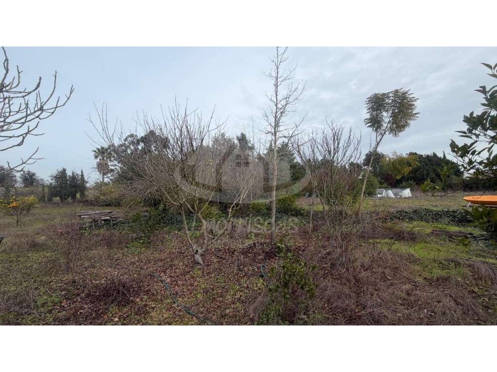 Terreno de 9.300 m² com construção, na Lau, Palmela - Grande imagem: 5/29