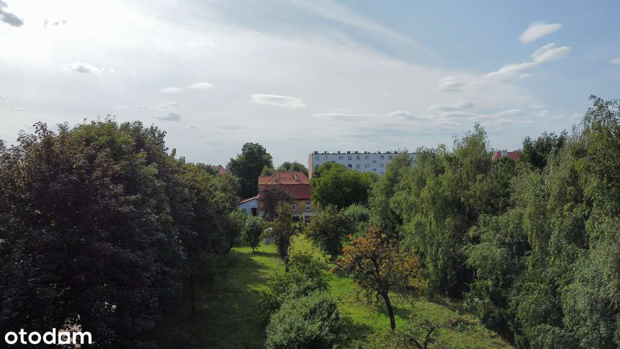 ul. Wrzesińska na sprzedaż dom dwulokalowy 199m2, działka 3056m2-6