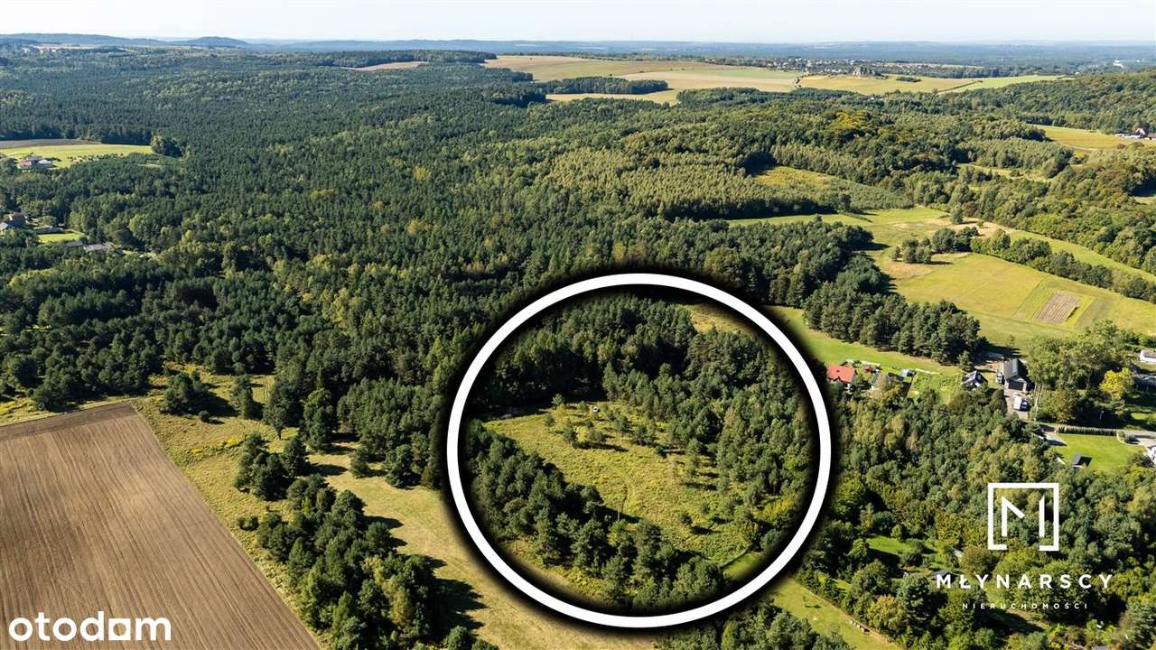 1.3ha|Pod inwestycje|Otoczenie Lasu|Zawiercie| - Pełny obrazek: 4/20