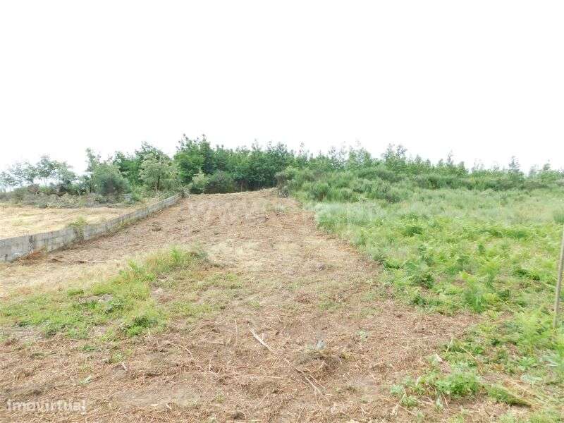 Terreno para Construção / Oliveira do Hospital, Travanca de Lagos - Grande imagem: 4/8