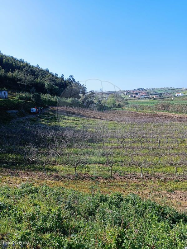 Terreno  para venda