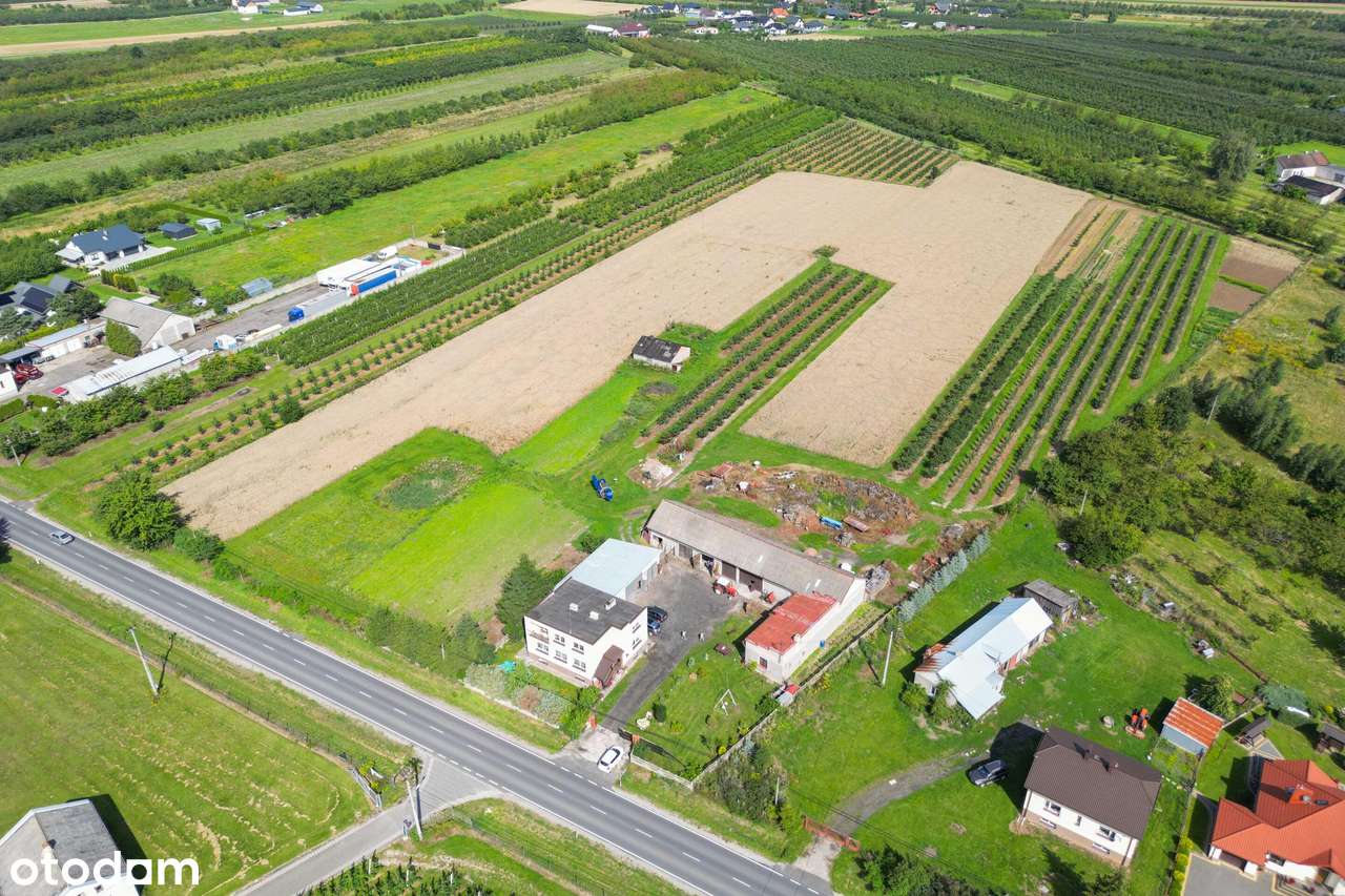 Działka rolna w procesie przekształcania pod zabudowę - Pełny obrazek: 5/7