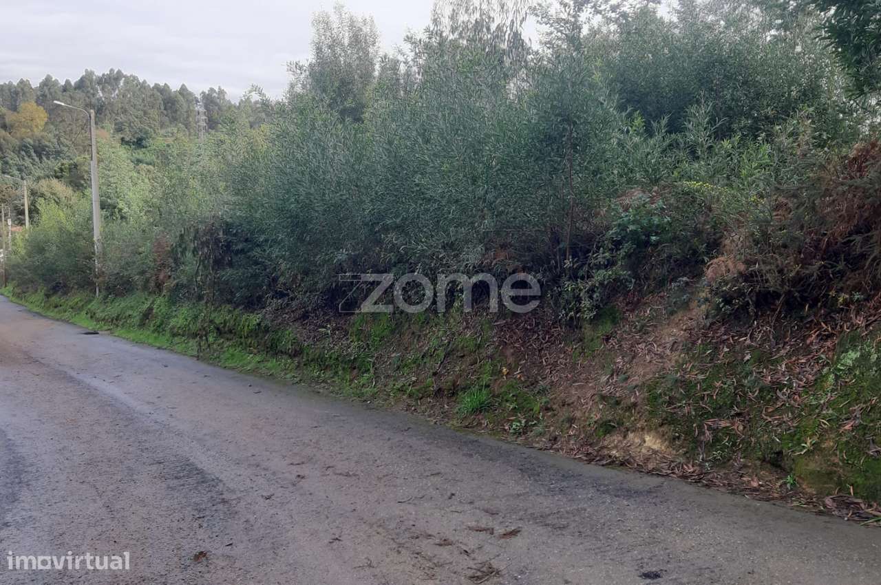 Terreno Rústico com 5165m2, em Salgueiro, Oliveira de Azeméis - Grande imagem: 2/6