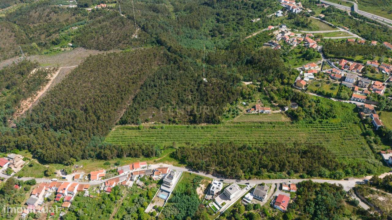 Quinta com 8 hectares com potencial para construção – Antanhol - Coimb-7
