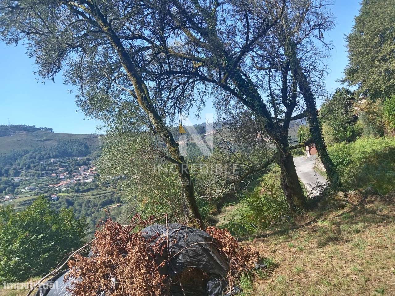 Terreno  Venda em Vade,Vila Verde - Grande imagem: 5/7