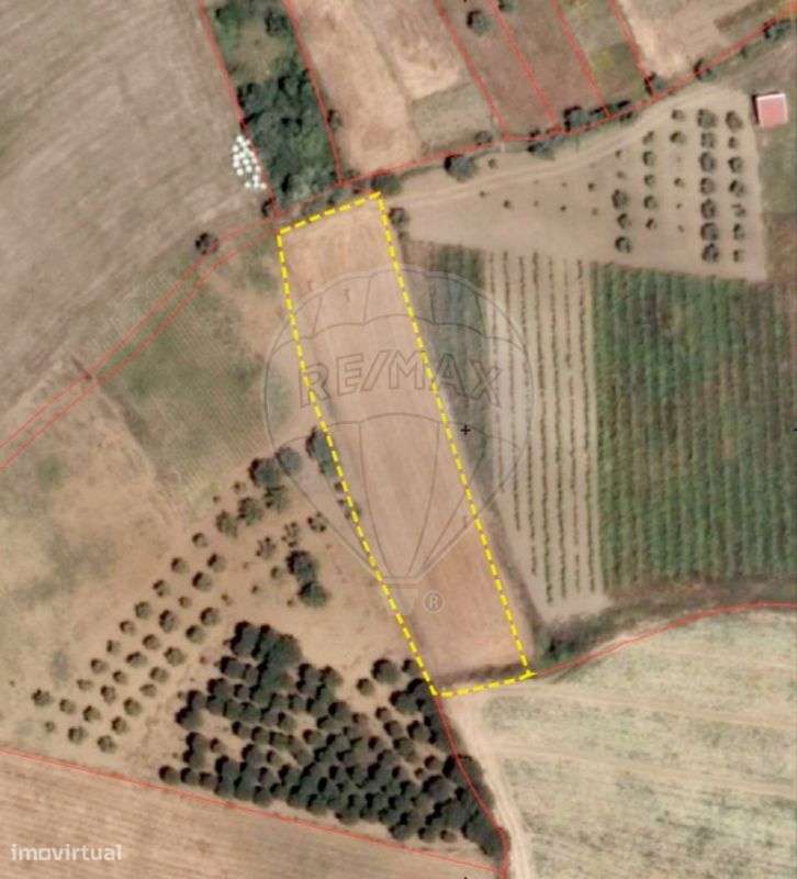 Terreno  para venda - Grande imagem: 5/17