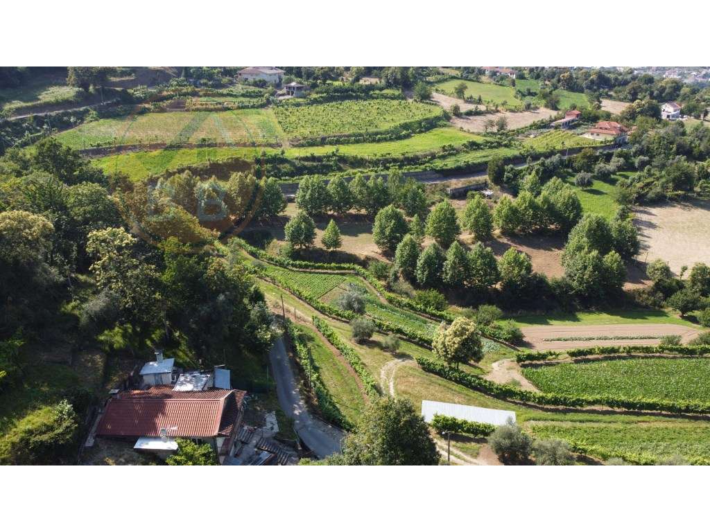 Terreno misto, com 2530 m², na Faia, Cabeceiras de Basto - Grande imagem: 5/7