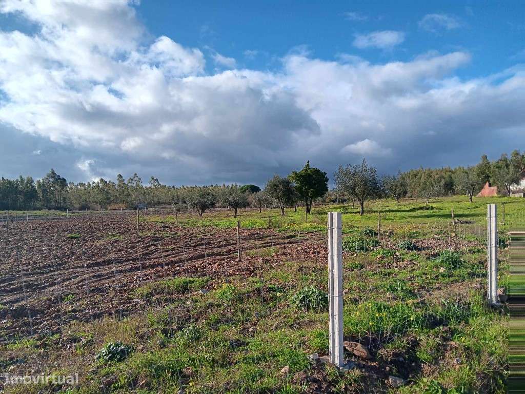 TERRENO COM 37.040 M2 E VIABILIDADE DE CONSTRUÇÃO, PENHASCOSO DE MAÇÃO - Grande imagem: 4/22