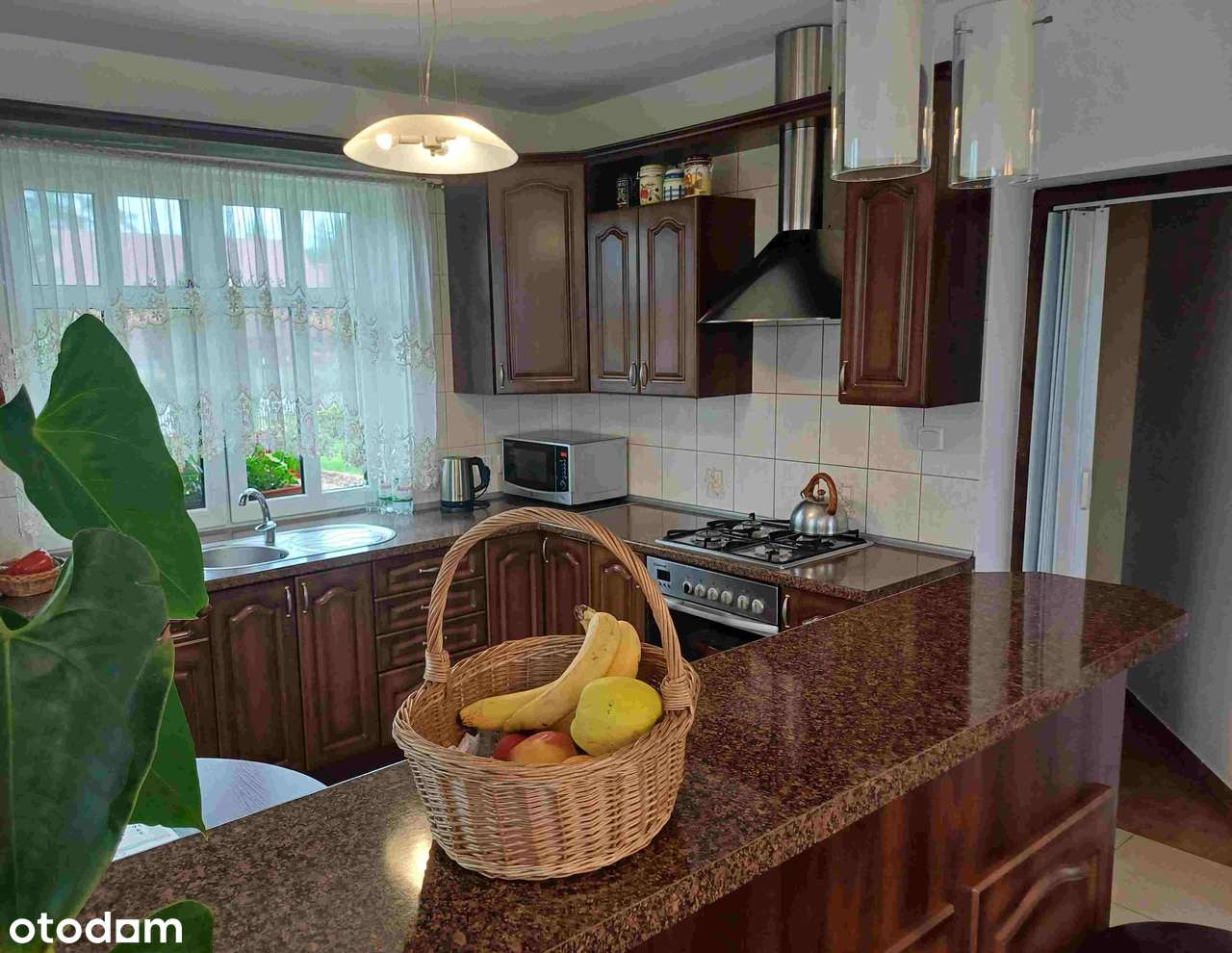 NOWY ZAMEK Piękny dom, duża działka z własnym stawem w Dolinie Baryczy - Pełny obrazek: 4/20