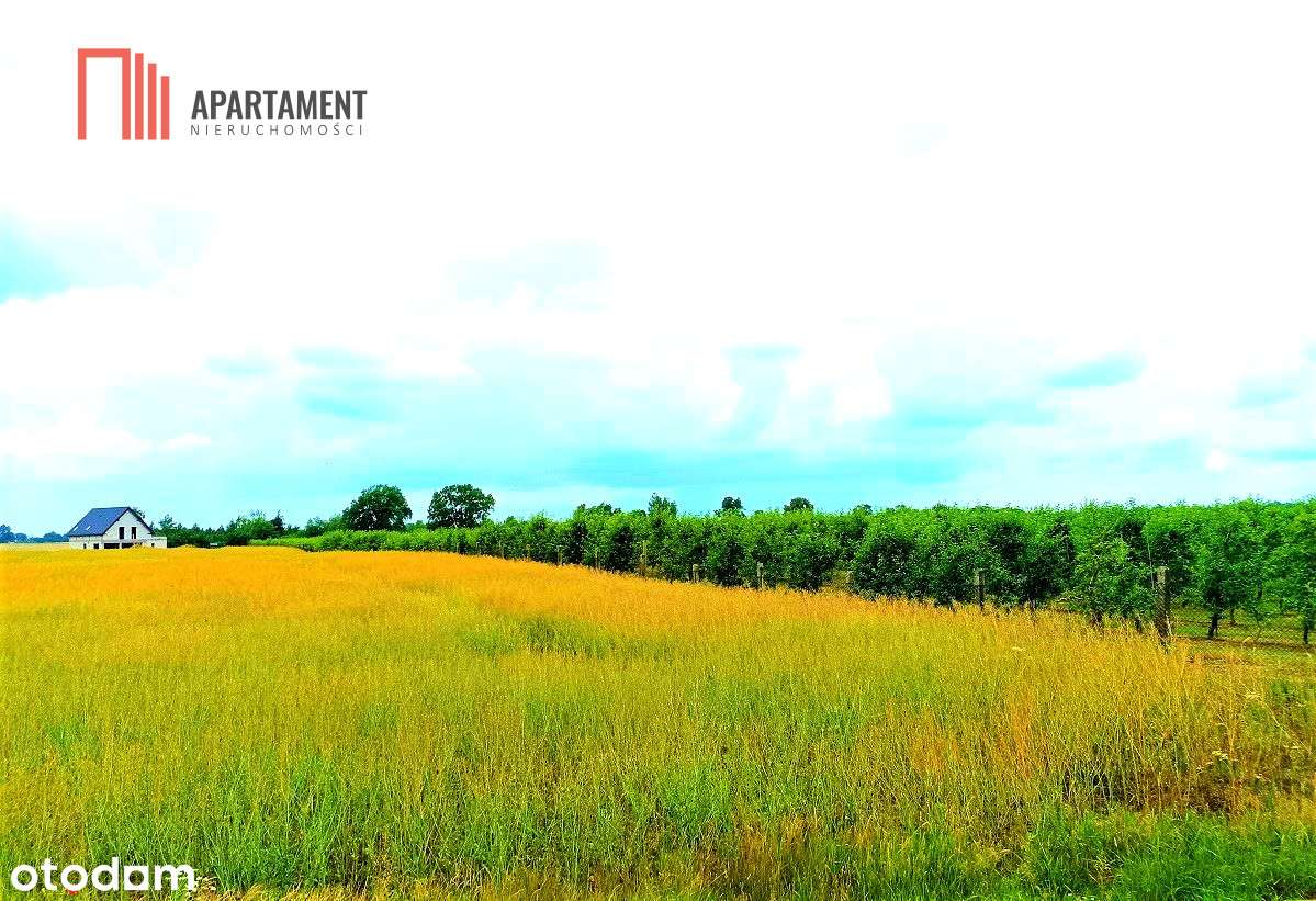 Morzewiec 1067 m2 świetna Lokalizacja - Pełny obrazek: 2/3